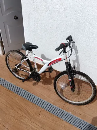 Bicicleta blanca mediana