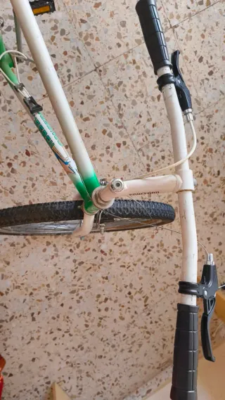 Bicicleta Montaña Blanca y Verde