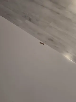 Mesita de salón blanca de madera