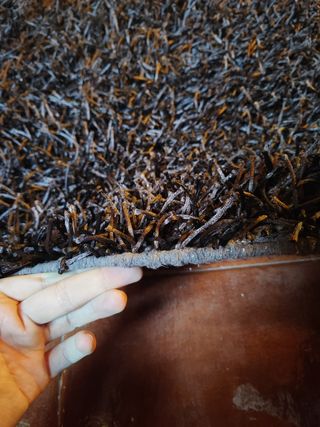 Alfombra India Seda Sintética (230x160)