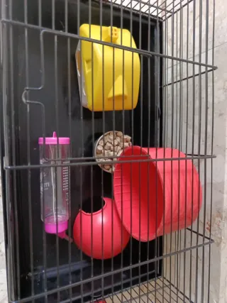 Jaula para mascotas con accesorios