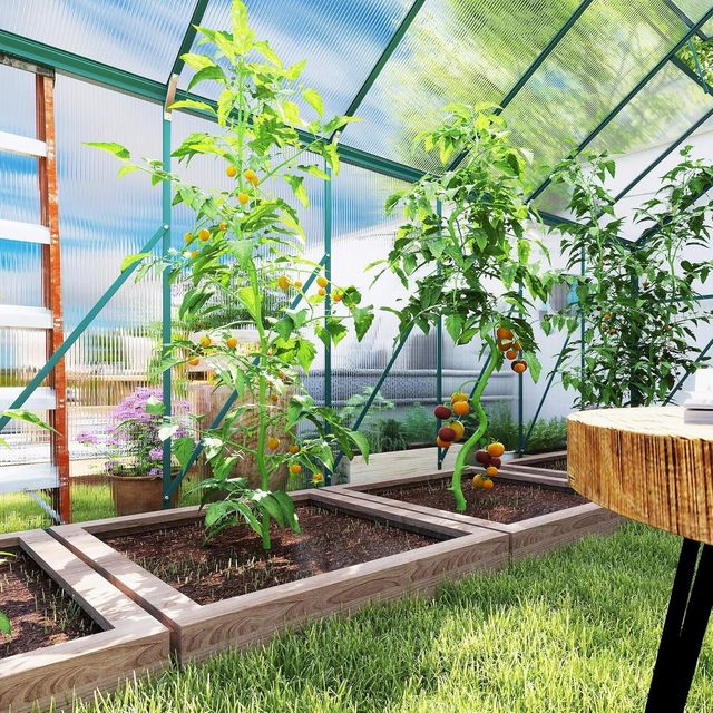 Invernadero de Jardín de Policarbonato con Puerta Corredera y Ventana Abatible, Invernadero para Plantas de Aluminio, 244X500X216 Cm, Verde