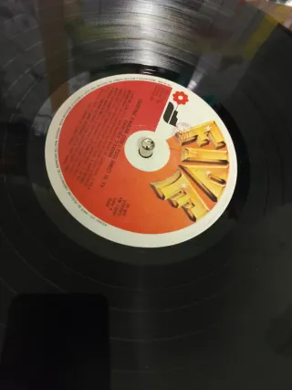 Cristina D'Avena Vinile - I Tuoi Amici in TV