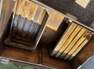 Macetero/huerto/terrario para reptiles