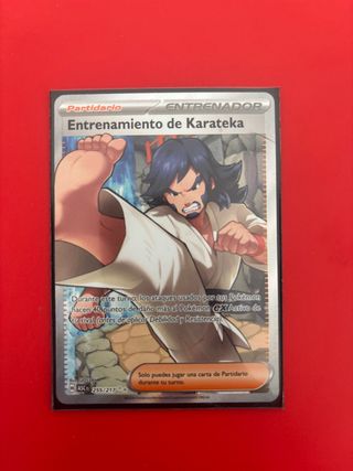 Entrenamiento de Karateka 255/217 Entrenador
