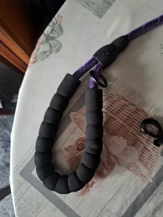 Correa para perro con asa acolchada