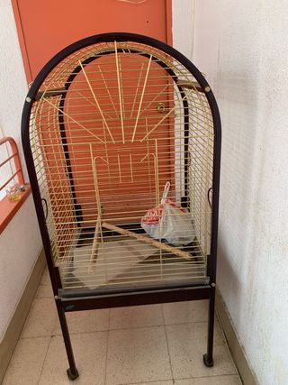 Jaula de loro