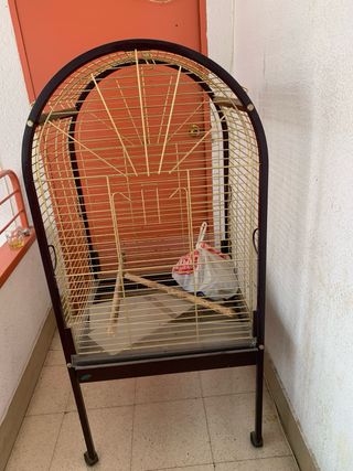 Jaula de loro