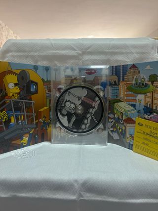 Los Simpsons DVD Colección Décima Temporada
