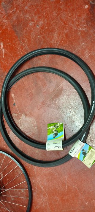 Ruote e Cerchioni MTB 26"