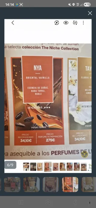 Lote Nuevos perfumes Yodeyma. Ambrax, Nya y Tayda