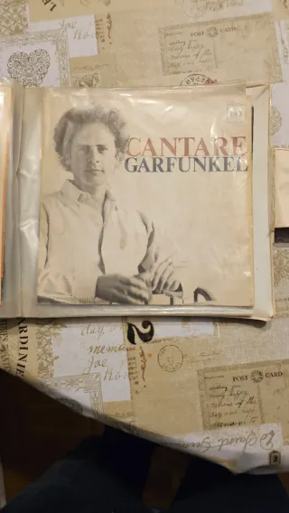 Vinilo Cantare Garfunkel