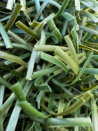 CESPED ARTIFICIAL RECICLADO ALTAMENTE RESISTENTE