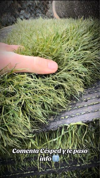 CESPED ARTIFICIAL RECICLADO ALTAMENTE RESISTENTE