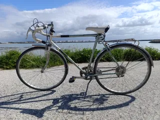 Bicicleta Clásica Suiza Allegro