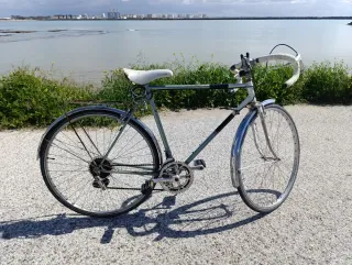 Bicicleta Clásica Suiza Allegro