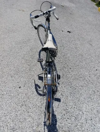 Bicicleta Clásica Suiza Allegro