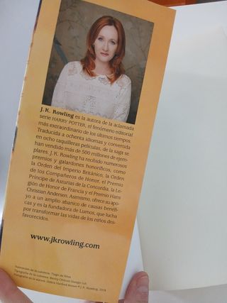 Harry Potter y la piedra filosofal (Harry Potter 1) (Spanish Edition)