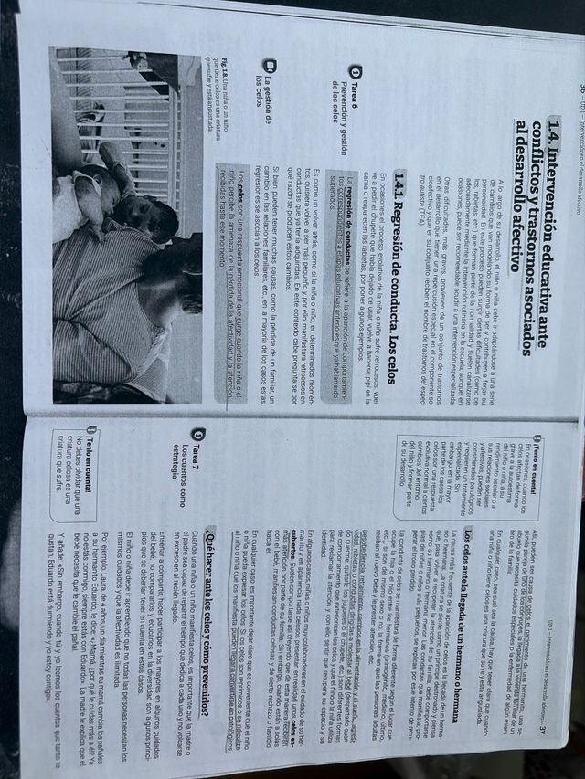 Desarrollo socioafectivo