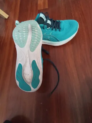 Zapatillas Asics Gel-Pulse 16 Talla 44