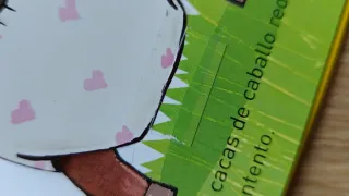 Libro ¿Puedo mirar tu pañal?