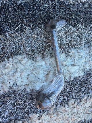 Tubo retorno aceite cárter BMW E46 320d M47