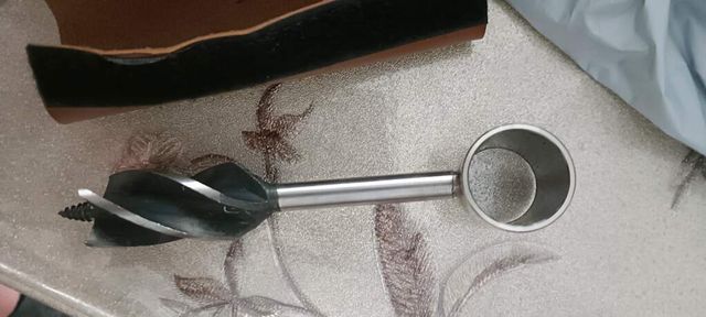 Broca supervivencia madera