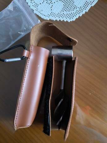 Broca supervivencia madera