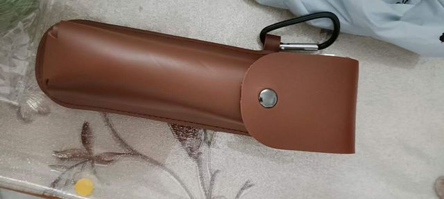 Broca supervivencia madera