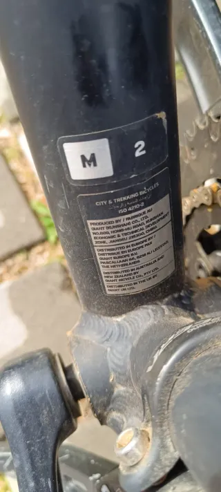 Bicicleta Trekking Liv Rove