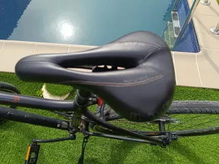 Bicicleta Trekking Liv Rove