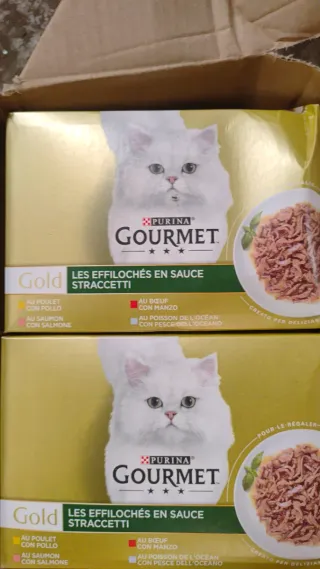 Correa para perro Candure 1.2 CM