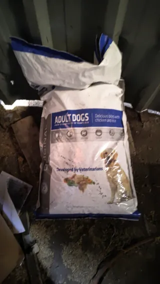 Correa para perro Candure 1.2 CM