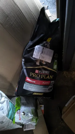 Correa para perro Candure 1.2 CM