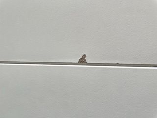 Mesa blanca de madera .