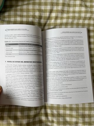 Estado de Bienestar Manual UNED