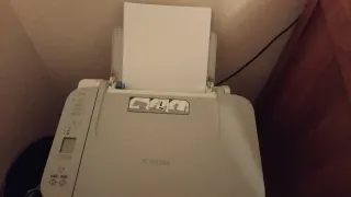 Stampante Canon Beige