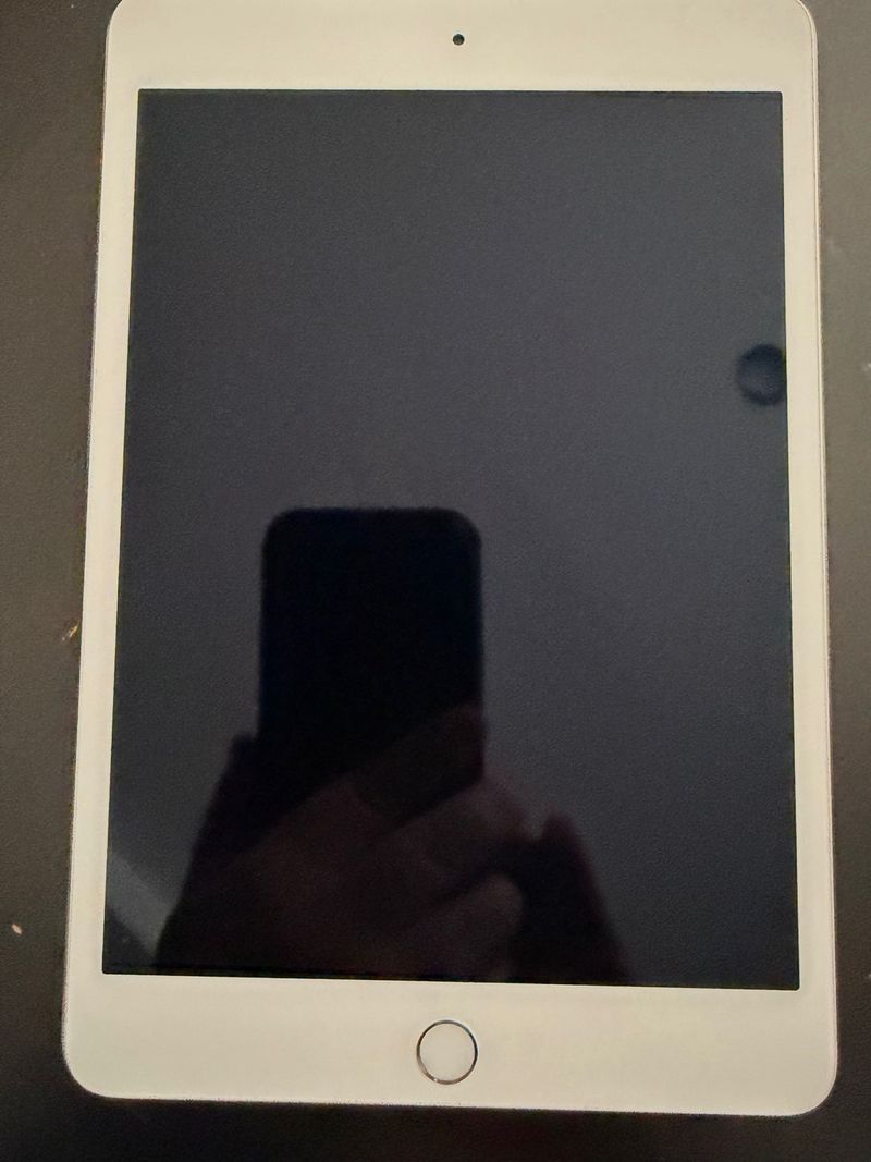 iPad Mini 4 WiFi Plata 16GB afbeelding 2