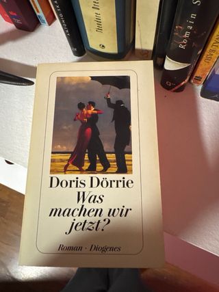 Was machen wir jetzt? Roman