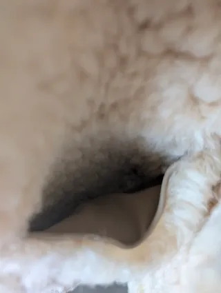 Chaqueta de piel, de pelo Mango