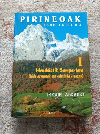 Libro Pirineos: Hendaiatik Somportera