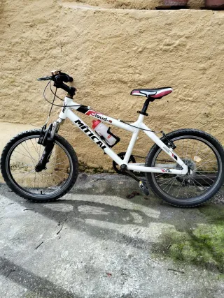 Bicicleta infantil 20 pulgadas
