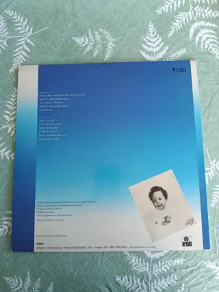 Whitney Houston LP R&B/Soul