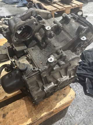 Caja de cambio DSG OAM 301 107 - OAM 325 065 T