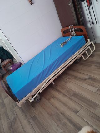 Cama Invacare geriátrica articulada