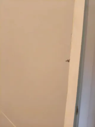 Puerta interior blanca