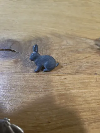 Lote 4 pines de conejos