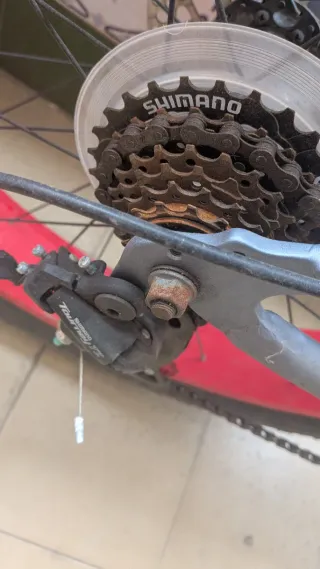 Bicicleta Fatbike Moma