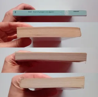 Foto di gruppo con signora di Hernich Böll