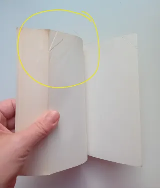 Foto di gruppo con signora di Hernich Böll